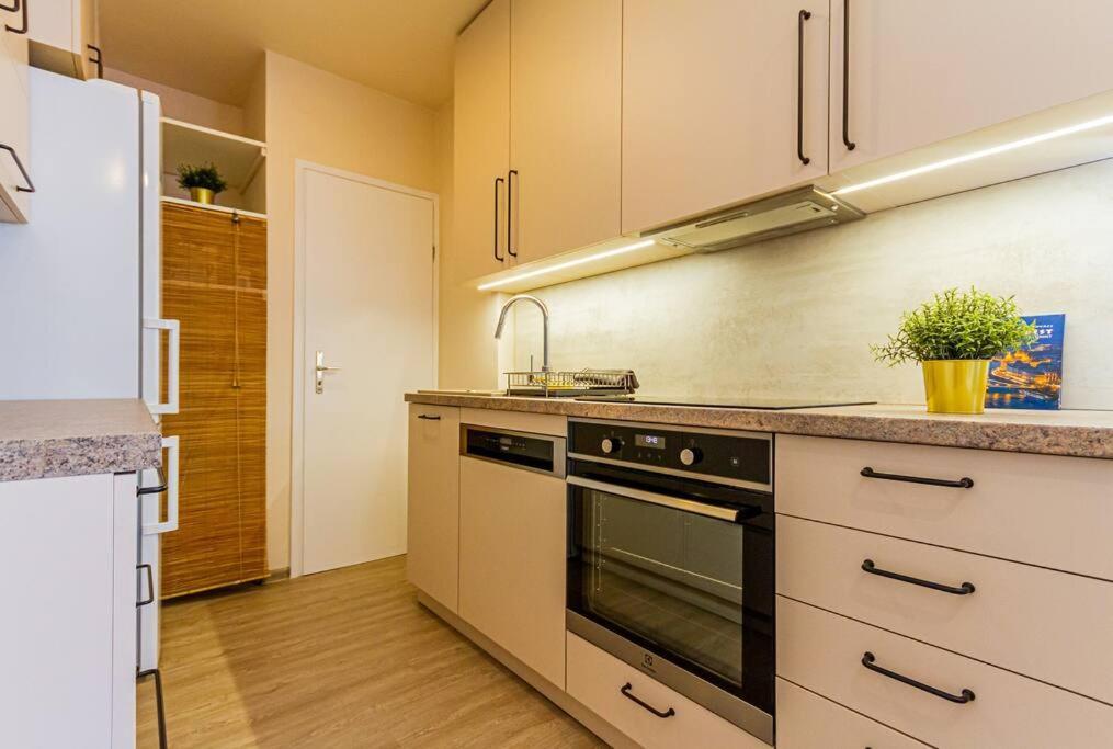 Roomy Apartment 80Sqm At City Center Free Parking Space, Ac & Balcony Budapest Eksteriør billede