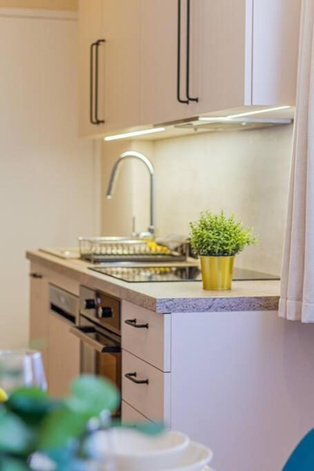 Roomy Apartment 80Sqm At City Center Free Parking Space, Ac & Balcony Budapest Eksteriør billede