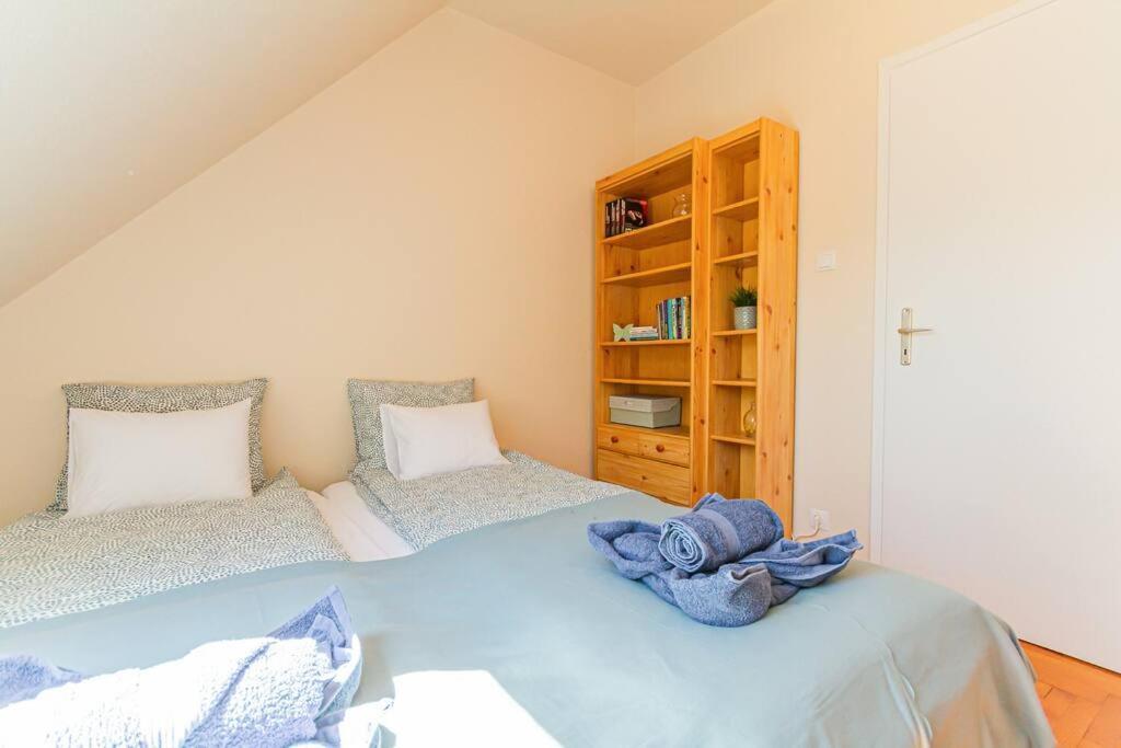 Roomy Apartment 80Sqm At City Center Free Parking Space, Ac & Balcony Budapest Eksteriør billede