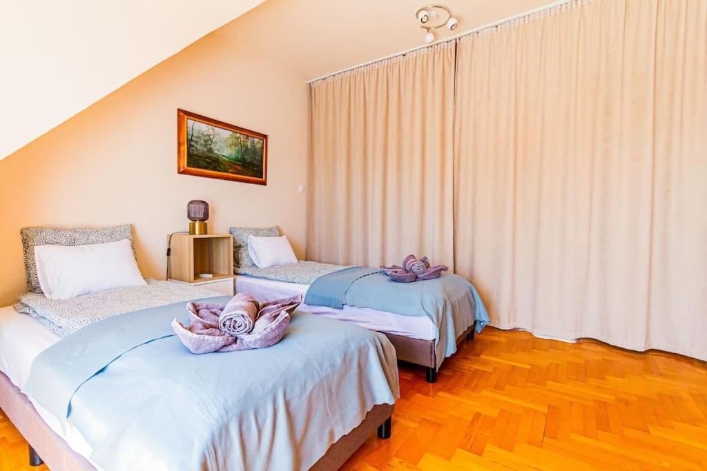 Roomy Apartment 80Sqm At City Center Free Parking Space, Ac & Balcony Budapest Eksteriør billede